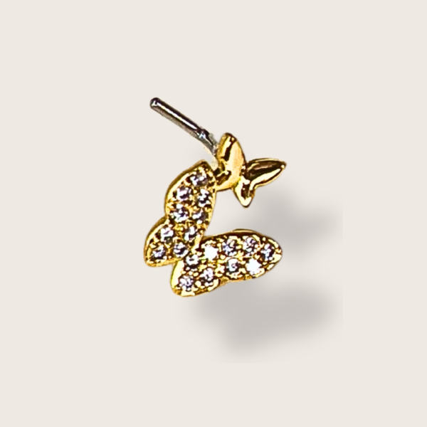 Piercing nez papillume
